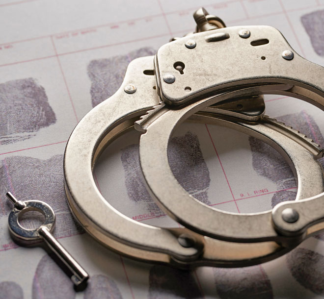 llt consulting diritto penale