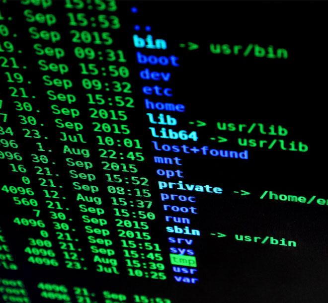 llt consulting oblio tutela reputazione